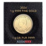2024 1g Gold Maple Leaf Coin with Assay Card