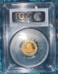 2013 PCGS MS70 China Panda Gold Coin 1/10 Oz