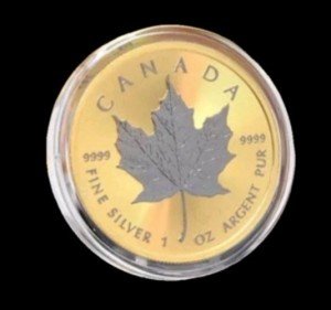 2024 Canadian 1oz Maple Leaf Gold Coin