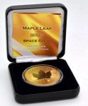 2024 Canadian 1oz Maple Leaf Gold Coin