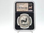 2017 South Africa Krugerrand 50th Anniversary Coin