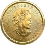 2022 Royal Canadian Mint 1/10 oz Gold Coin