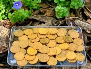 $5 Half Eagle Liberty Head Gold Coin