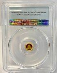 2019 China Panda 10 Yuan Gold Coin - MS70