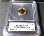 2023 Gold Britannia £10 Coin - Charles III