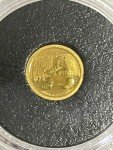 2017 Chinese Panda 1 Gram Gold Coin