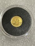 2017 Chinese Panda 1 Gram Gold Coin