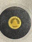 2017 Chinese Panda 1 Gram Gold Coin