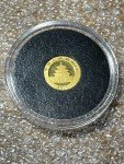 2017 Chinese Panda 1 Gram Gold Coin
