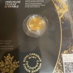 Canadian Maple Leaf 1/10 oz Gold Coin