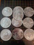 2021 South African Krugerrand 10 oz Silver Coin