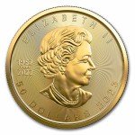 2023 Canada 1 oz Gold Maple Leaf Coin