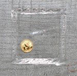 2016 Chinese Panda 10 Yuan Gold Coin with COA