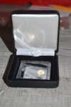 2016 Chinese Panda 10 Yuan Gold Coin with COA