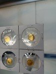 Canadian Gold Maple Leaf Coins Set - 4 Pieces