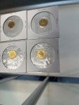 Canadian Gold Maple Leaf Coins Set - 4 Pieces