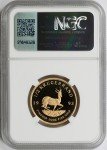 1993 South Africa 1/2 Krugerrand Gold Coin