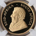 1993 South Africa 1/2 Krugerrand Gold Coin