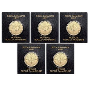 5-Pack 2024 1g Gold Maple Leaf Coins