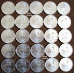 2020 South African Krugerrand 1 oz Silver Rolls