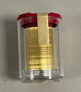 2025 Austria Philharmonic Gold 1/10 oz Coin Tube