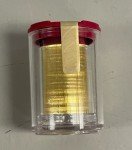 2025 Austria Philharmonic Gold 1/10 oz Coin Tube