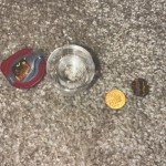 2x 2024 1/25 oz Austrian Gold Philharmonic Coins