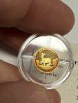 2007 0.5g 14k Gold Proof Krugerrand Coin