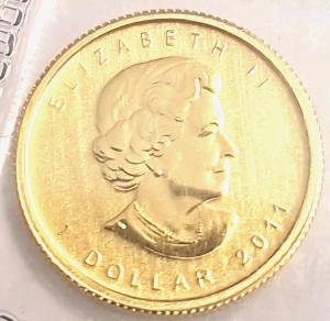 1/20 oz Gold Maple Leaf Coin - .9999 Fine