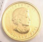 1/20 oz Gold Maple Leaf Coin - .9999 Fine