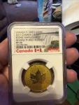 2017 Canada $200 1oz Gold Maple Leaf Coin