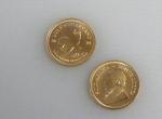 2024 1/10 oz South African Gold Krugerrand Coin