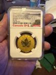 2017 Canada $200 1oz Gold Maple Leaf Coin