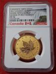 2017 Canada $200 1oz Gold Maple Leaf Coin
