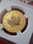 2017 Canada $200 1oz Gold Maple Leaf Coin