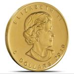 2010 1/10 oz Canadian Gold Maple Leaf Coin