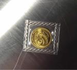 1984 China Gold Panda 5 Yuan Coin 1/20 oz