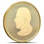2025 Canadian Gold Maple Leaf Coin - 1/2 oz