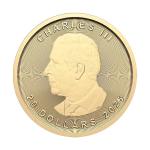 2025 $20 Canadian Maple Leaf Gold Coin 1/2 oz