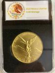 2020 1 oz Mexican Gold Libertad Coin