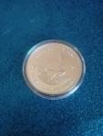 2024 South Africa 1 Oz Silver Krugerrand Coin