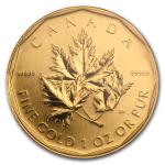 2007 Canada 1 oz Gold Maple Leaf Coin