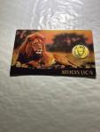 2022 African Lion Gold Coin - 3000 Francs CFA