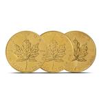 1 oz Gold Maple Leaf Coin - Random Year