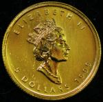 1999 $5 Canada Gold Maple Leaf Coin