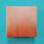 2022 South Africa Silver Lion Privy Krugerrand