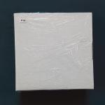 2022 South Africa Silver Lion Privy Krugerrand