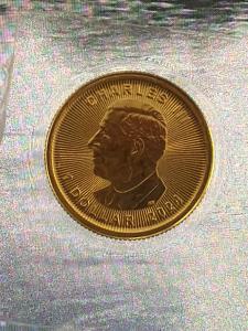 2025 Canadian Gold Maple Leaf Coin 1/20 oz