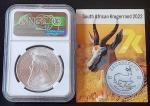 2022 Silver Krugerrand NGC MS 69 Coin