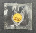 2009 Chinese 20 Yuan Gold Panda Coin